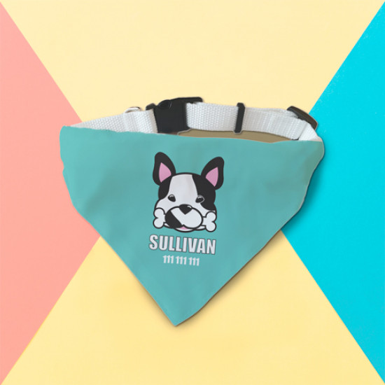 Collar para mascota "Nombre+teléfono" - Supermolón - Collares para