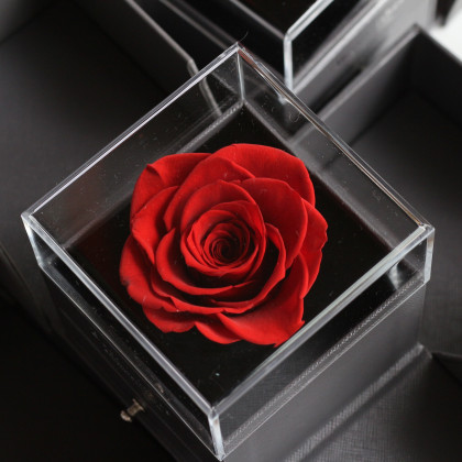 Rosa eterna en caja joyería con cajón para colocar el anillo de pedida, ideal para pedida de matrimonio. Incluye tarjeta dedicatoria.